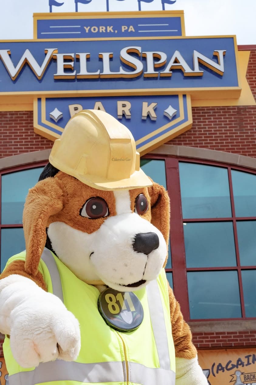 Columbia Gas mascot at WellSpan Park York PA
